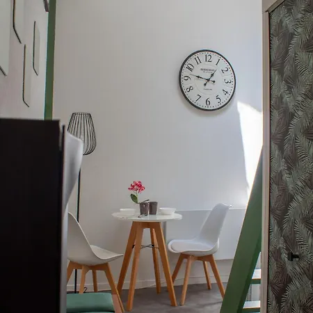 Botanique Duplex Renove Centre Historique Appartement *